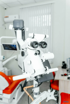 Семейная стоматология КАМЕЛИЯ-МЕД м. Проспект Победы