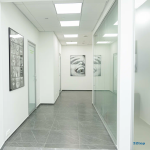 Стоматология ДЕНТАЛ ФОРМУЛА (DENTAL FORMULA)