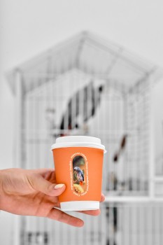 Стоматология CHARISMA (ХАРИЗМА)