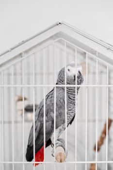 Стоматология CHARISMA (ХАРИЗМА)