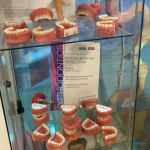 Центр ортодонтии ДЖЕМ