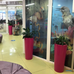 Центр ортодонтии ДЖЕМ