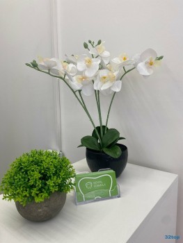 Стоматологическая клиника DENTAL FORMULA (ДЕНТАЛ ФОРМУЛА)