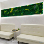 Медицинский центр БЕСТ КЛИНИК м. Красносельская