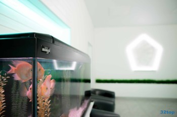 Центр эстетической стоматологии АПОЛЛОНИЯ м. Молодежная