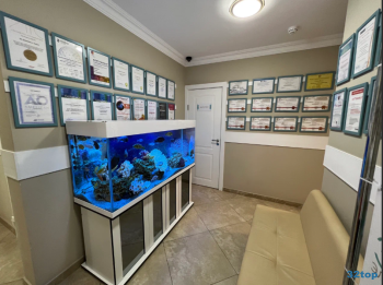 Клиника имплантологии и ортопедии ЭЛИСАН м. Новые Черемушки