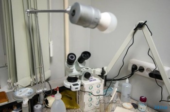 Стоматология ВЯТКАМЕДСЕРВИС на Маклина