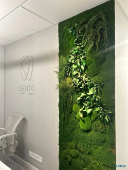 Стоматология DENTA (ДЕНТА) на Красной