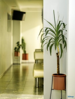 Стоматологическая клиника БАЗИС-МЕД м. Преображенская Площадь