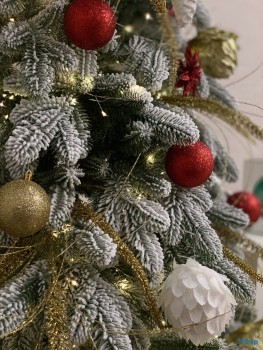 Клиника семейной стоматологии ДЕНТАЛИТИ