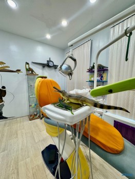 Стоматология НАША СЕМЬЯ (МИШУТКА) на Большой Октябрьской