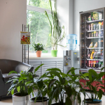 Многопрофильная клиника СОЮЗ м. Сокольники