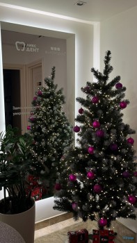 Центр стоматологии ЛИКС ДЕНТ м. Достоевская