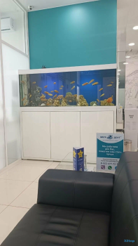 Сеть стоматологических клиник МЕГА-ДЕНТ на Максима Горького