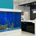 Сеть стоматологических клиник МЕГА-ДЕНТ на Максима Горького