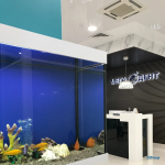 Сеть стоматологических клиник МЕГА-ДЕНТ на Максима Горького