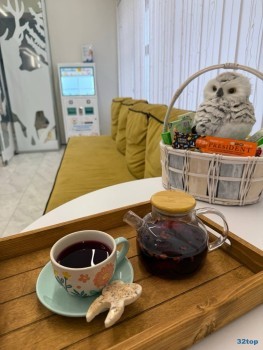 Стоматологическая клиника БЭБИ ВИТА ДЕНТ (БЕЛАЯ СОВА) на Люблинской