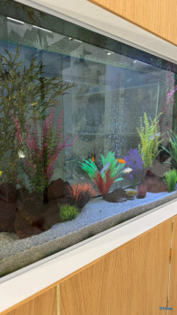 Стоматологическая клиника БЭБИ ВИТА ДЕНТ (БЕЛАЯ СОВА) на Люблинской