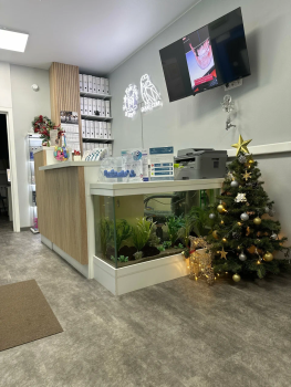 Стоматологическая клиника БЭБИ ВИТА ДЕНТ (БЕЛАЯ СОВА) на ​3-ем микрорайоне