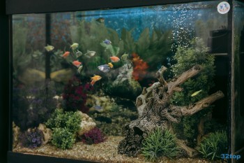 Стоматологическая клиника ЗУБАСТИК м. Текстильщики