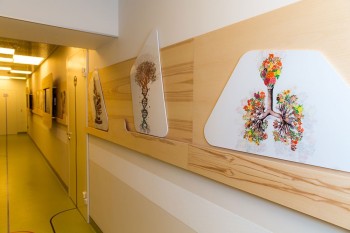 Премиальная стоматология для взрослых и детей ДЖИЭМЭС ДЕНТАЛ (GMS DENTAL) м. Смоленская