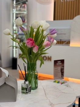 Стоматология КОЛИЗЕЙ