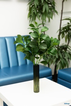 Стоматологическая клиника КЛИНИК СМАЙЛ (CLINIC SMILE)