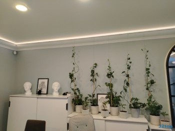 Центр лечения заболевания пародонта НПО м. Геологическая