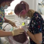 ​Медицинский центр АЗБУКА ЗДОРОВЬЯ