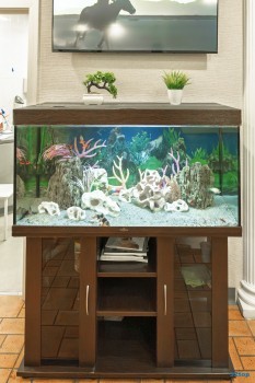 Сеть семейных клиник ДОБРОМЕД в корп. 107В