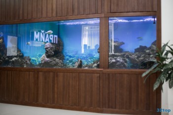 Стоматологическая клиника ПРАЙМ на Бирюзова
