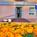 СТОМАТОЛОГИЧЕСКАЯ КЛИНИКА БИЯНОВЫХ