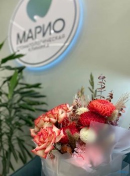Стоматологическая клиника МАРИО