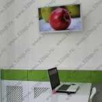 Стоматология DENTALPRO