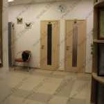 НОВАЯ СТОМАТОЛОГИЯ