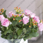 Стоматологическая клиника АМЕД м. Академическая