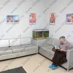 Сеть стоматологических клиник ВСЕ СВОИ! м. Петровско-Разумовская