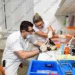 Стоматологическая клиника DOCTOR ART (ДОКТОР АРТ)   м. Московская