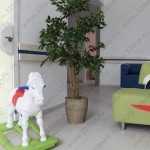 Сеть клиник ПРЕМЬЕРА на Айской