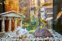 Стоматологическая клиника НОВЫЙ ВЕК м. Девяткино