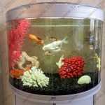 Стоматологическая клиника НОВЫЙ ВЕК м. Проспект Просвещения