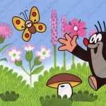 Современная семейная стоматология РИО СТОМ м. Семеновская