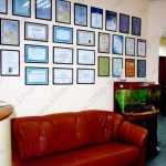 Медицинский центр ВРЕМЕНА ГОДА м. Перово