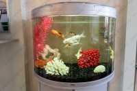 Стоматологическая клиника НОВЫЙ ВЕК м. Проспект Просвещения