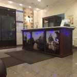 Сеть стоматологических клиник СТОМА м. Площадь Александра Невского