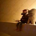 Стоматология ОРТОДОНТИЧЕСКАЯ СТУДИЯ ЛЕОНИДА ГОРБУНОВА м. Озерки