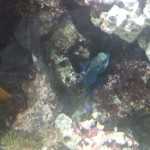 Стоматология ОРТОДОНТИЧЕСКАЯ СТУДИЯ ЛЕОНИДА ГОРБУНОВА м. Озерки