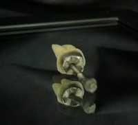 Стоматология ДЕЛЬТА-ДЕНТ