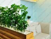 Клиника эстетики LAGUNA