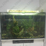 Стоматологическая клиника ПАРМА-ДЕНТ